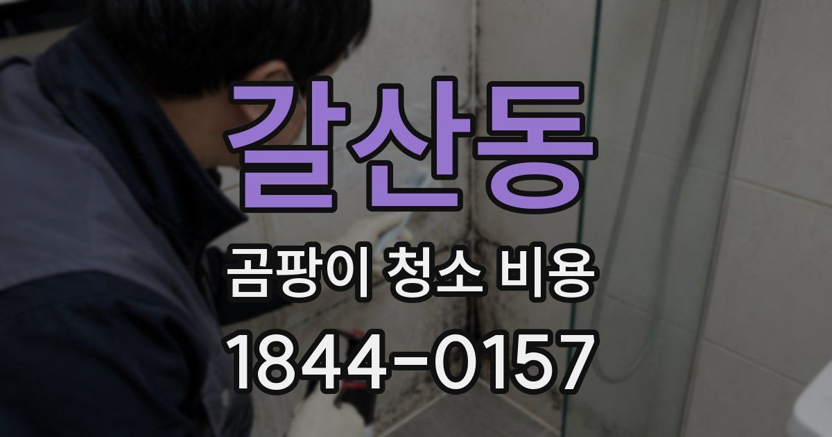 갈산동 곰팡이 청소 비용