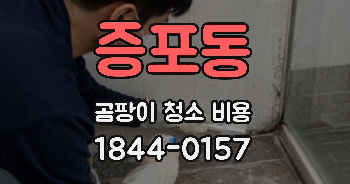 증포동 곰팡이 청소 비용