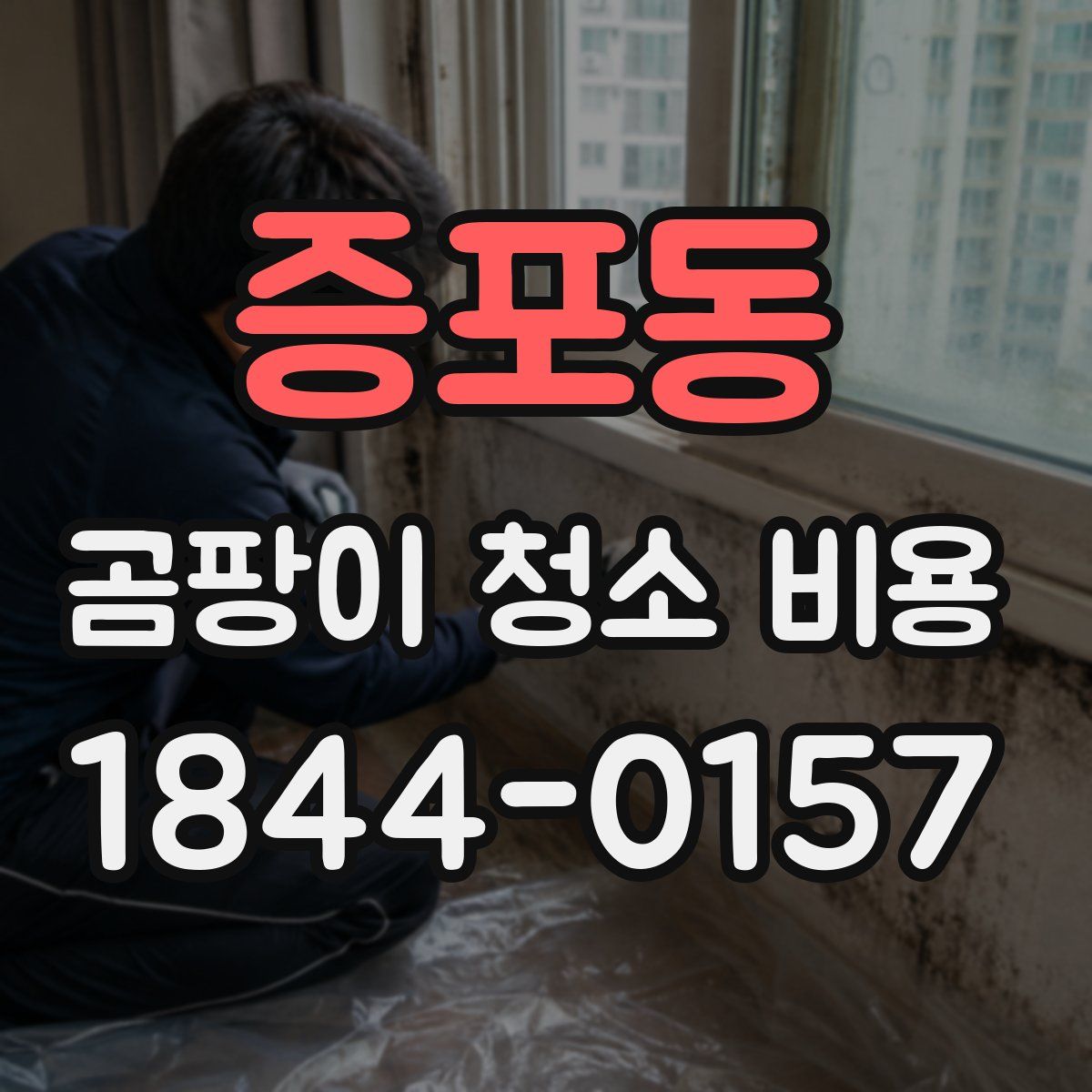 증포동 곰팡이 청소 비용