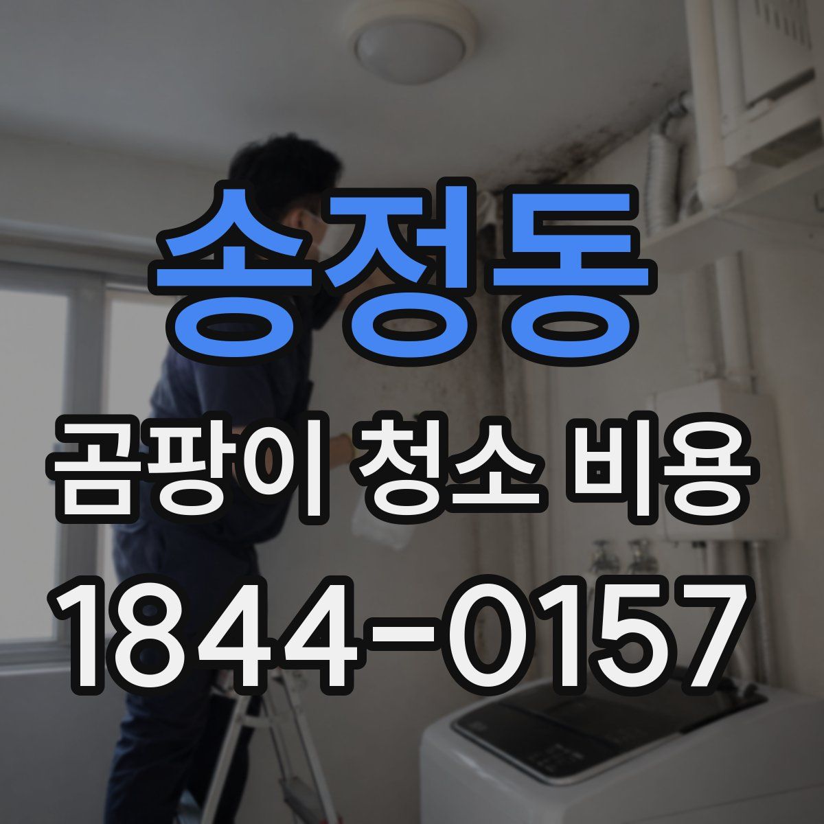 송정동 곰팡이 청소 비용