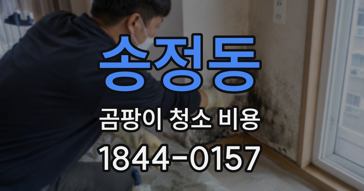송정동 곰팡이 청소 비용