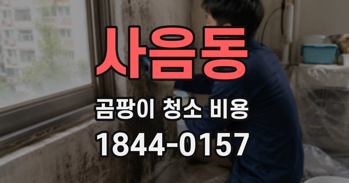 사음동 곰팡이 청소 비용