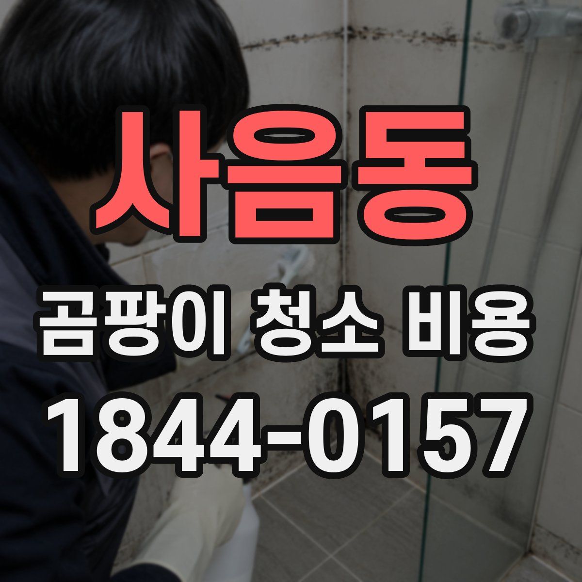사음동 곰팡이 청소 비용