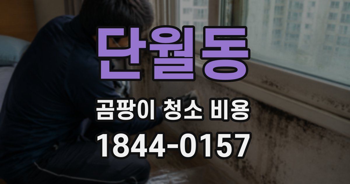 단월동 곰팡이 청소 비용