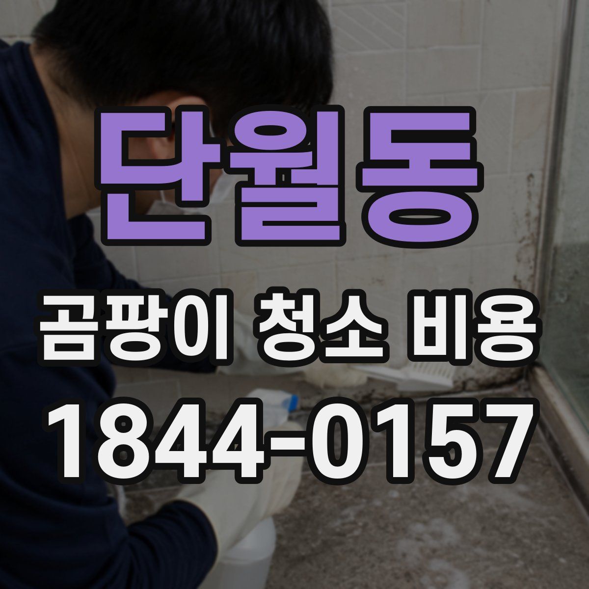 단월동 곰팡이 청소 비용