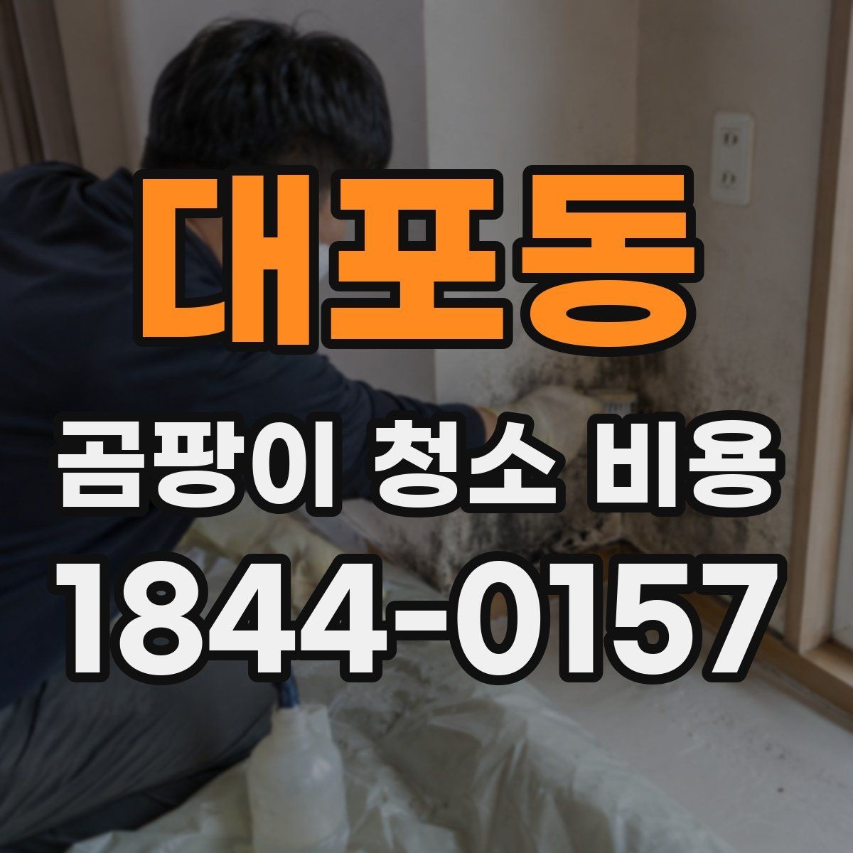 대포동 곰팡이 청소 비용 가전 뒤 습기 자국이 남았을 때 점검