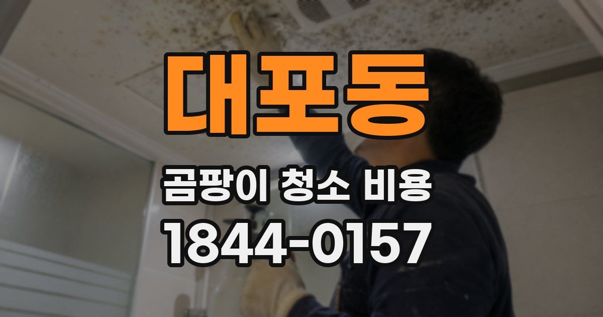 대포동 곰팡이 청소 비용
