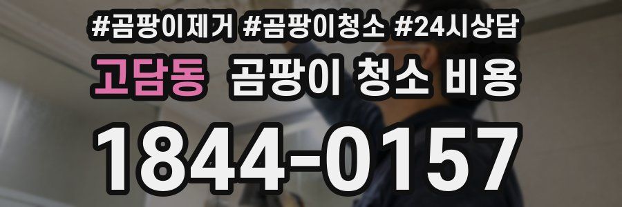 고담동 곰팡이 청소 비용