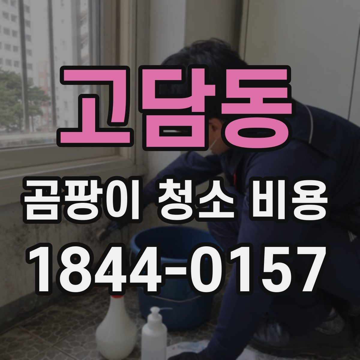 고담동 곰팡이 청소 비용