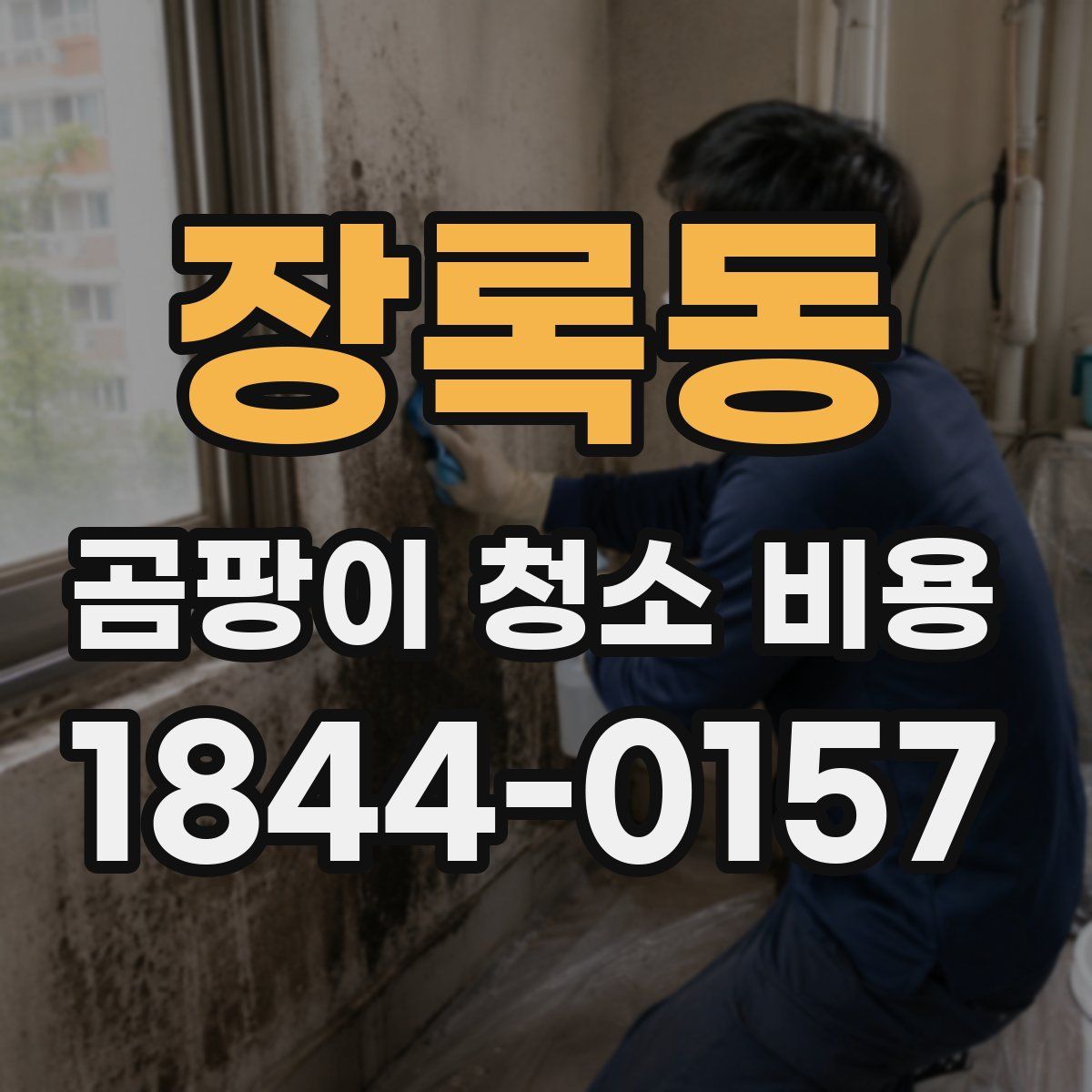 장록동 곰팡이 청소 비용