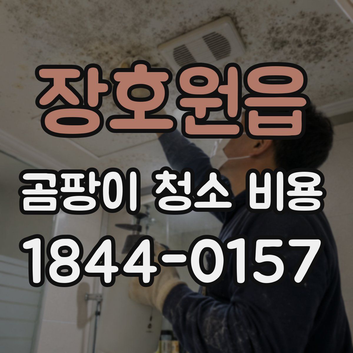 장호원읍 곰팡이 청소 비용