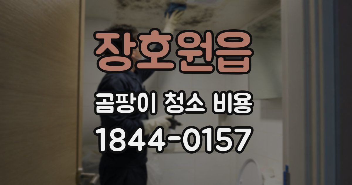 장호원읍 곰팡이 청소 비용
