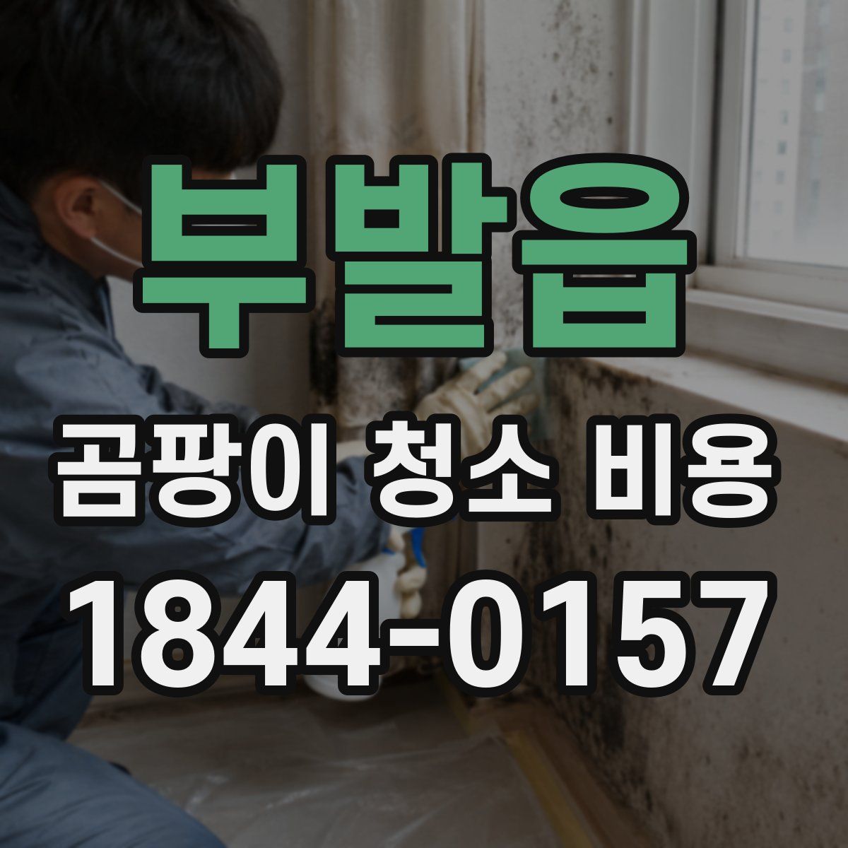 부발읍 곰팡이 청소 비용