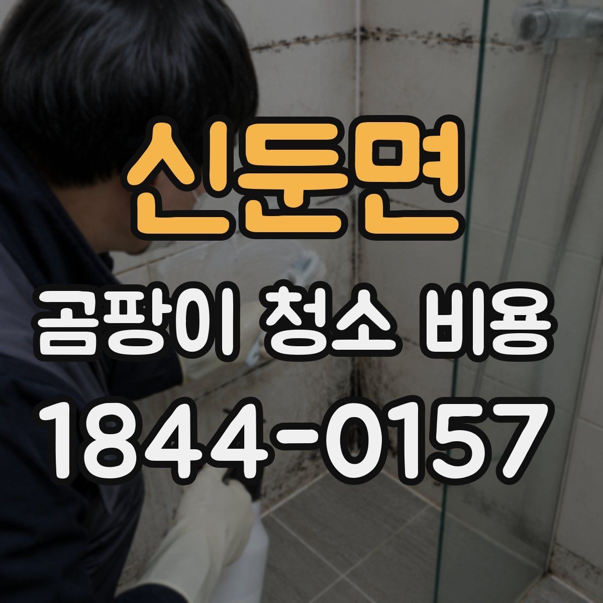신둔면 곰팡이 청소 비용 천장과 창틀 번짐을 구분하는 기준