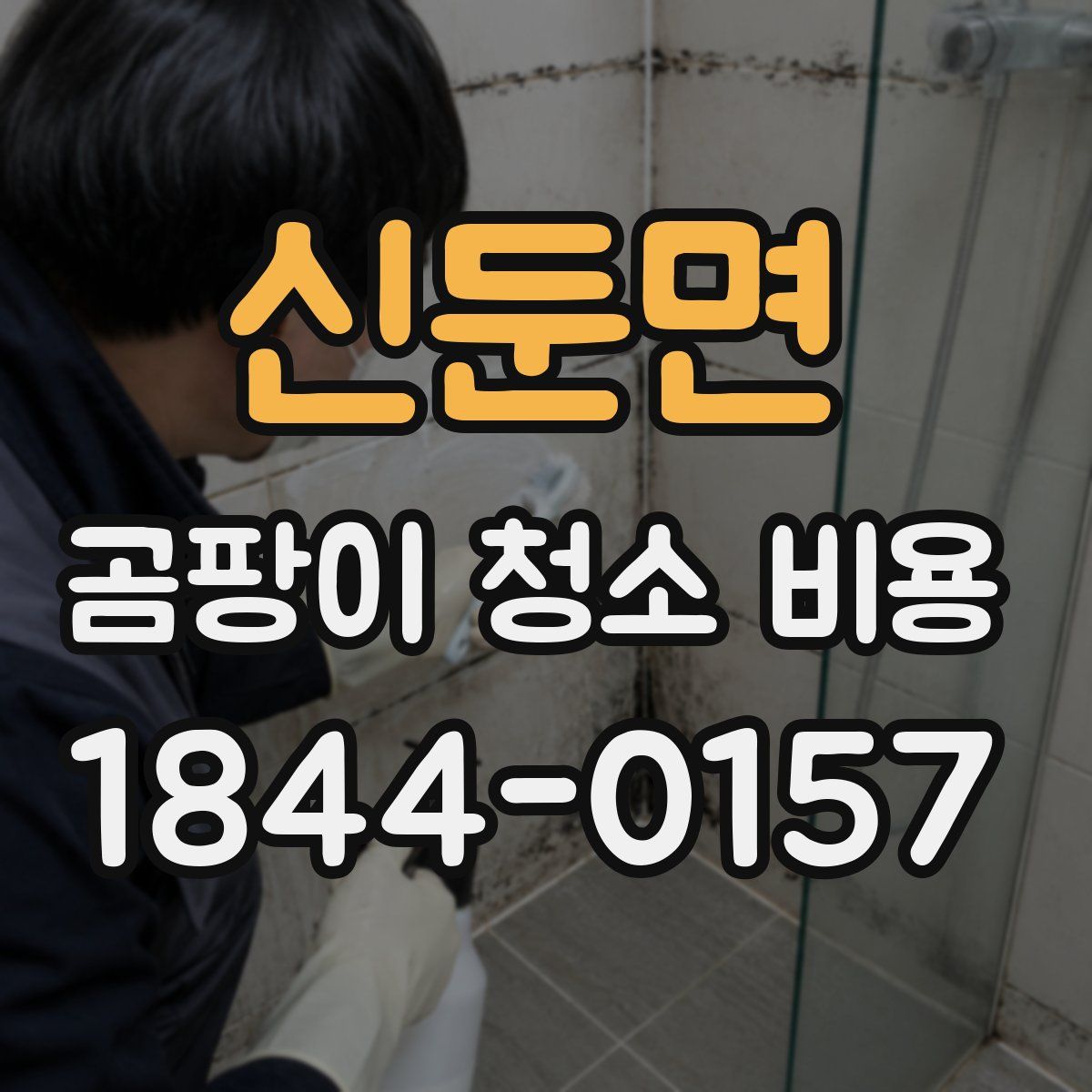 신둔면 곰팡이 청소 비용