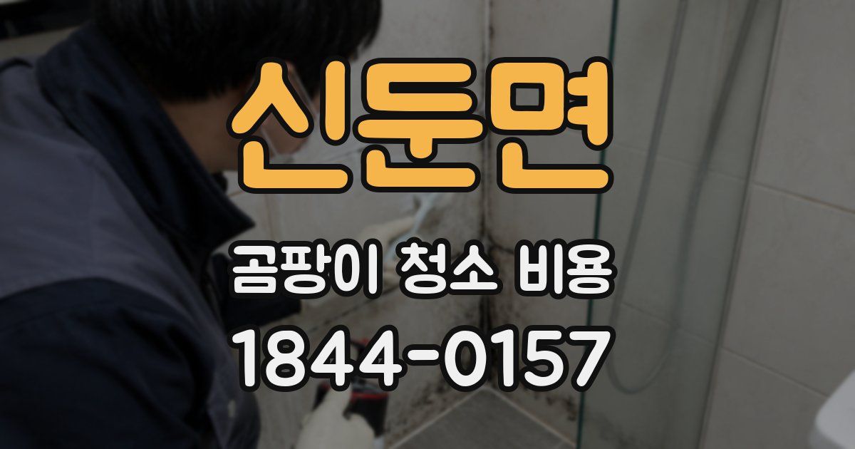 신둔면 곰팡이 청소 비용