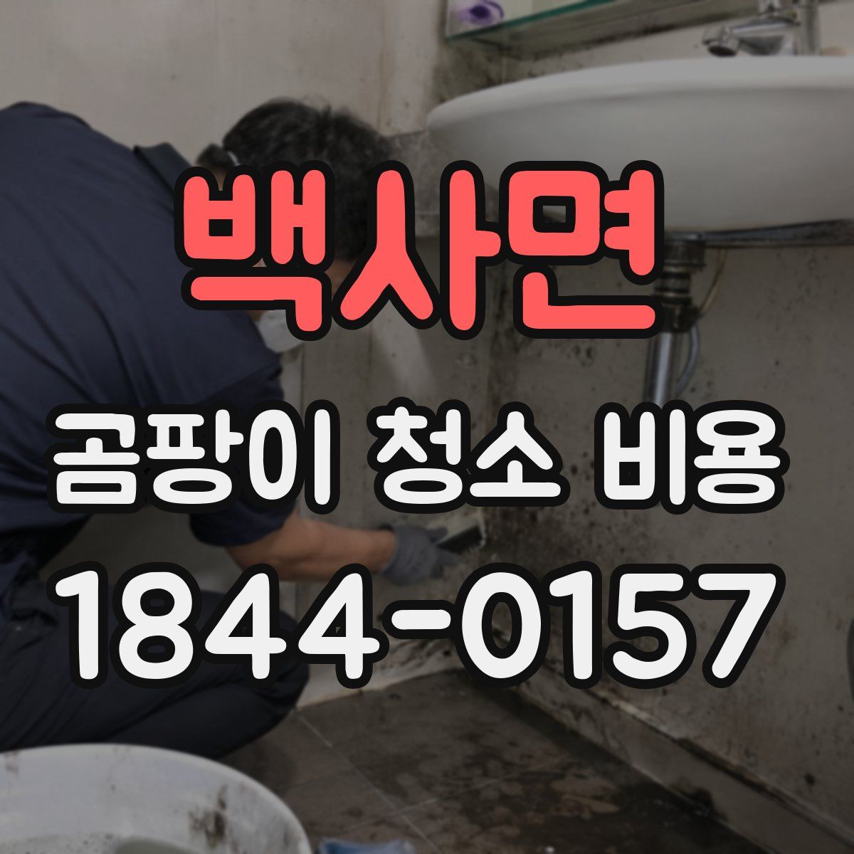 백사면 곰팡이 청소 비용