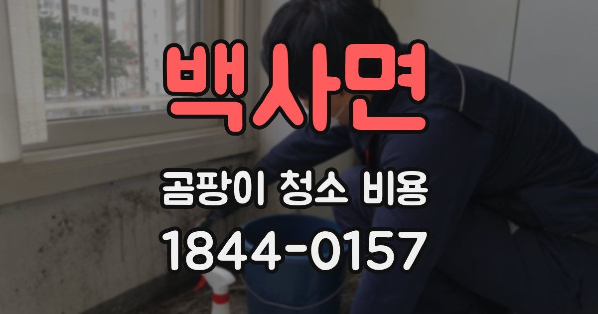 백사면 곰팡이 청소 비용