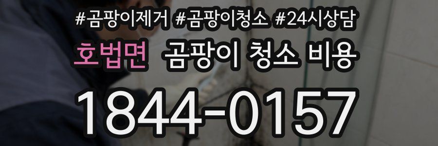 호법면 곰팡이 청소 비용