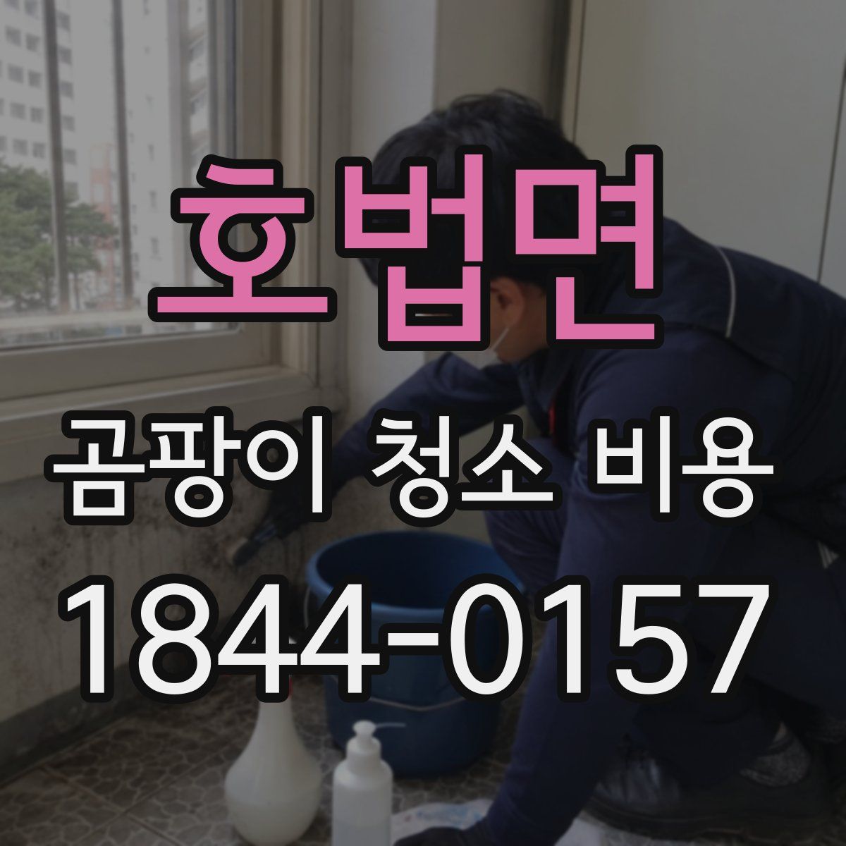 호법면 곰팡이 청소 비용