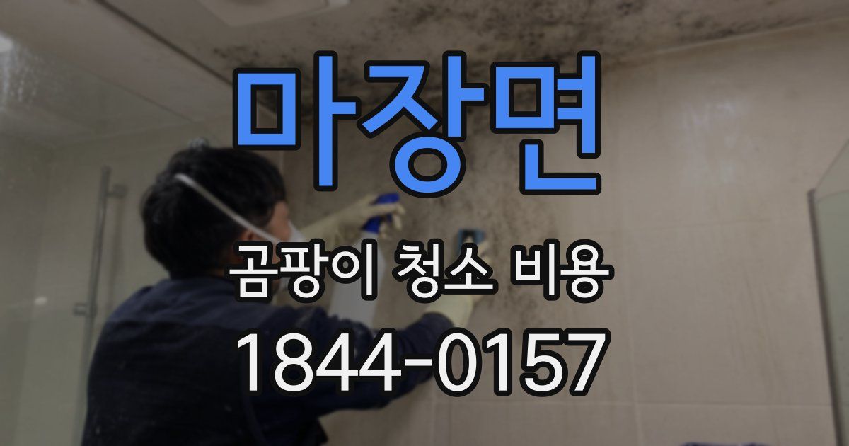 마장면 곰팡이 청소 비용