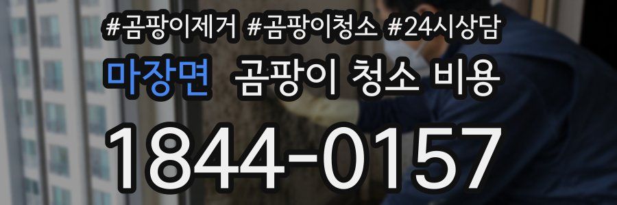 마장면 곰팡이 청소 비용