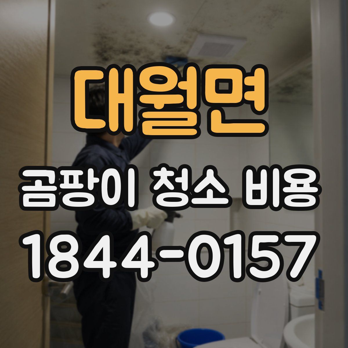 대월면 곰팡이 청소 비용