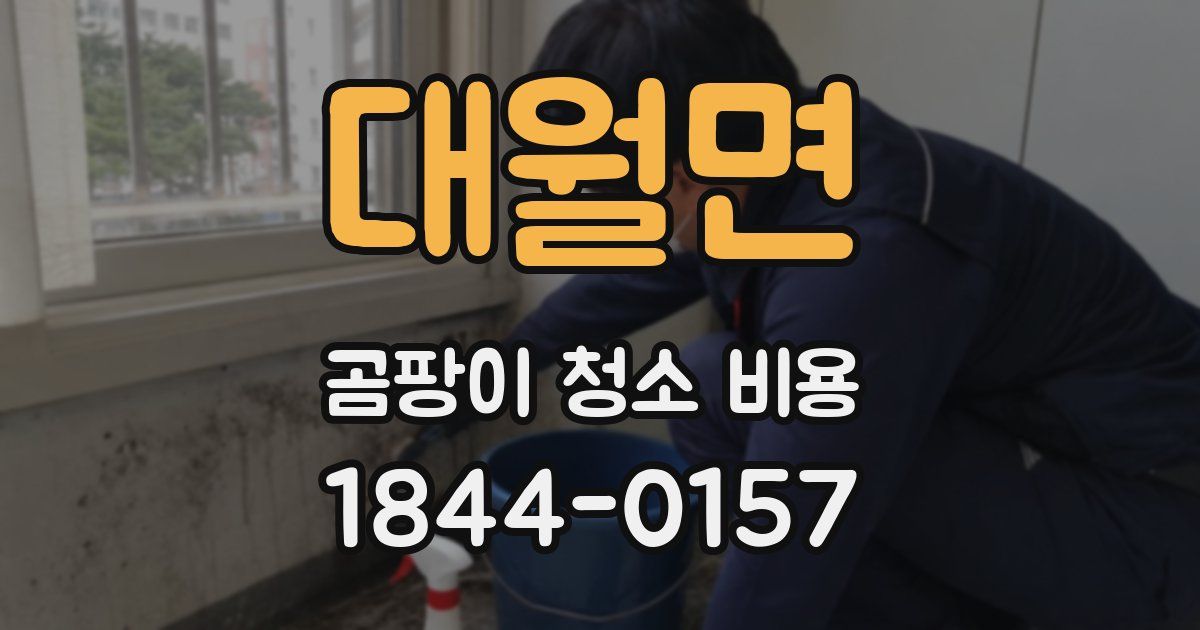 대월면 곰팡이 청소 비용