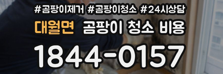 대월면 곰팡이 청소 비용