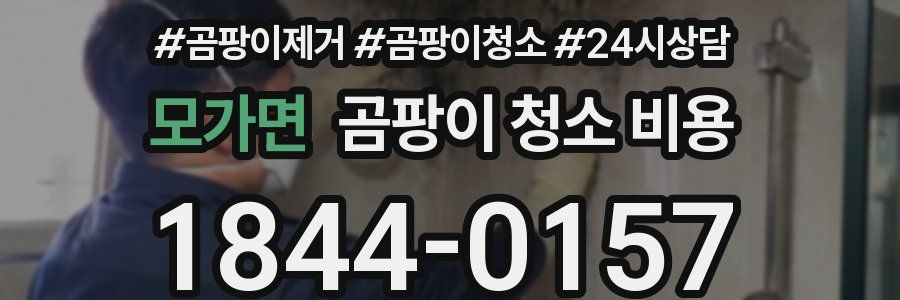 모가면 곰팡이 청소 비용