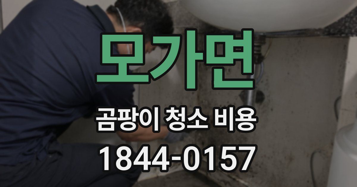 모가면 곰팡이 청소 비용