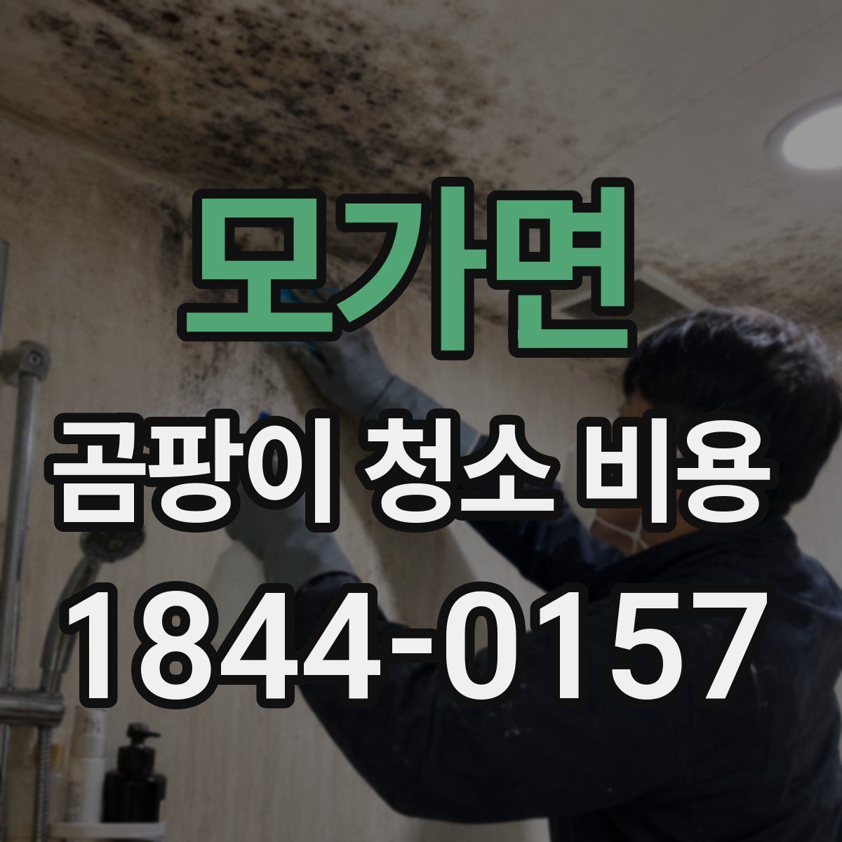 모가면 곰팡이 청소 비용