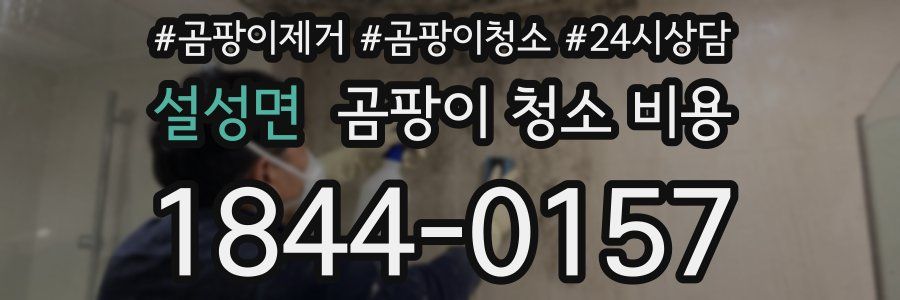 설성면 곰팡이 청소 비용
