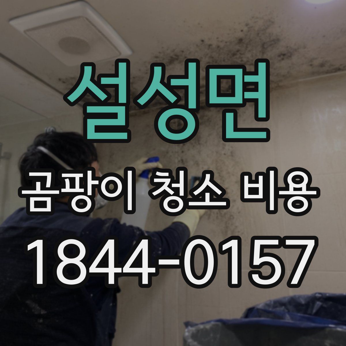 설성면 곰팡이 청소 비용