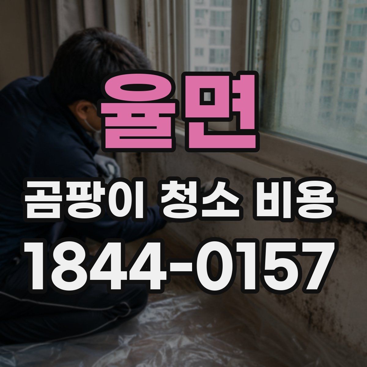 율면 곰팡이 청소 비용 베란다와 다용도실 습기 문제를 함께 볼 때
