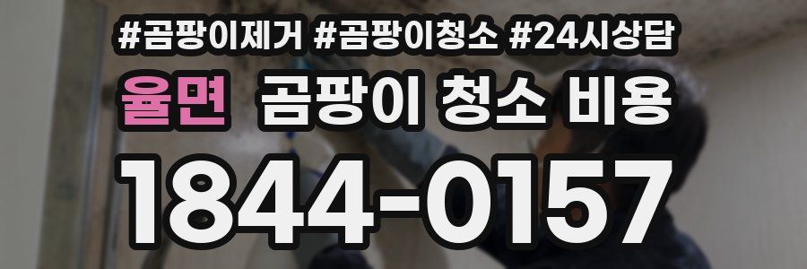 율면 곰팡이 청소 비용