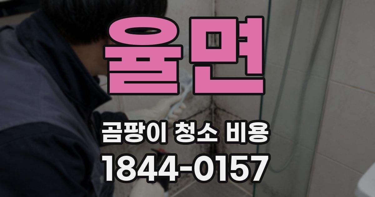 율면 곰팡이 청소 비용