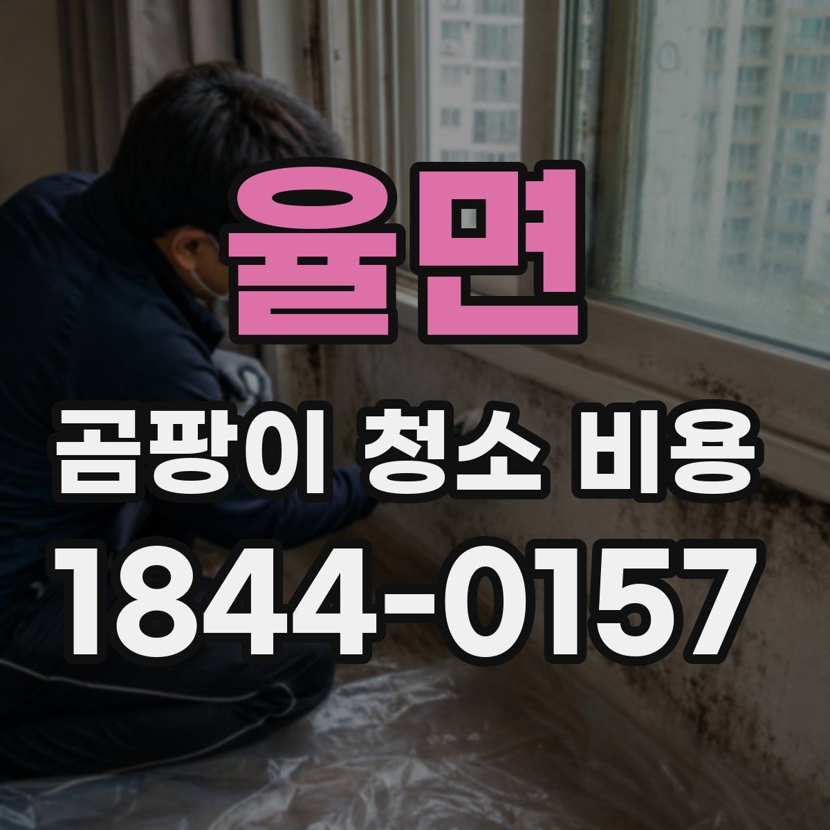 율면 곰팡이 청소 비용