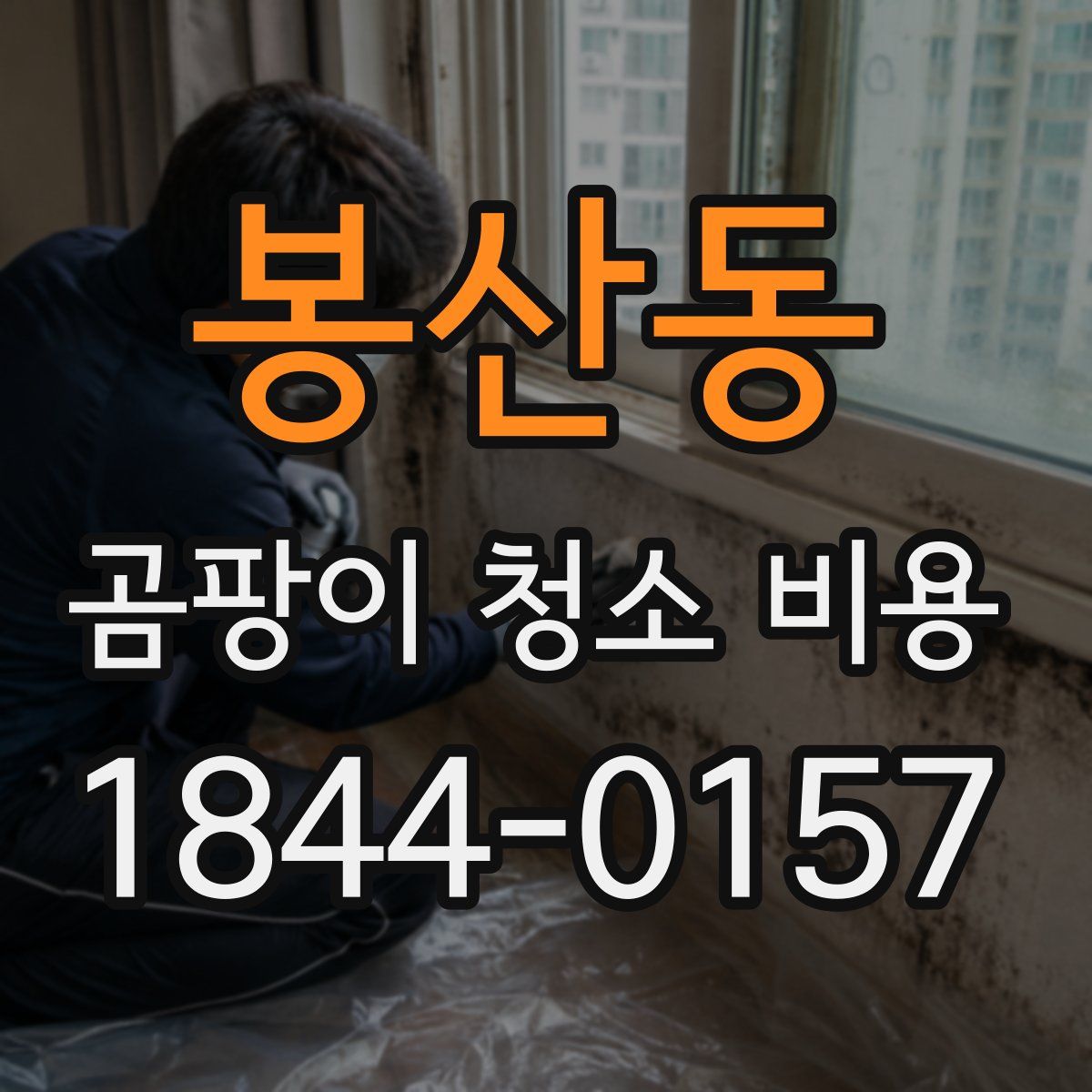 봉산동 곰팡이 청소 비용