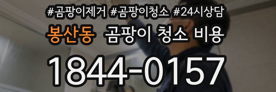 봉산동 곰팡이 청소 비용