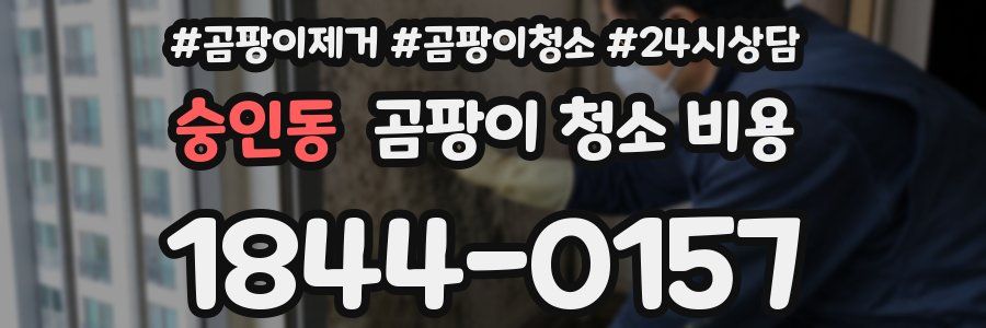 숭인동 곰팡이 청소 비용
