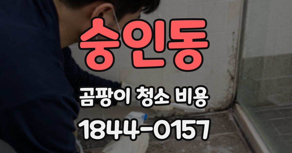 숭인동 곰팡이 청소 비용