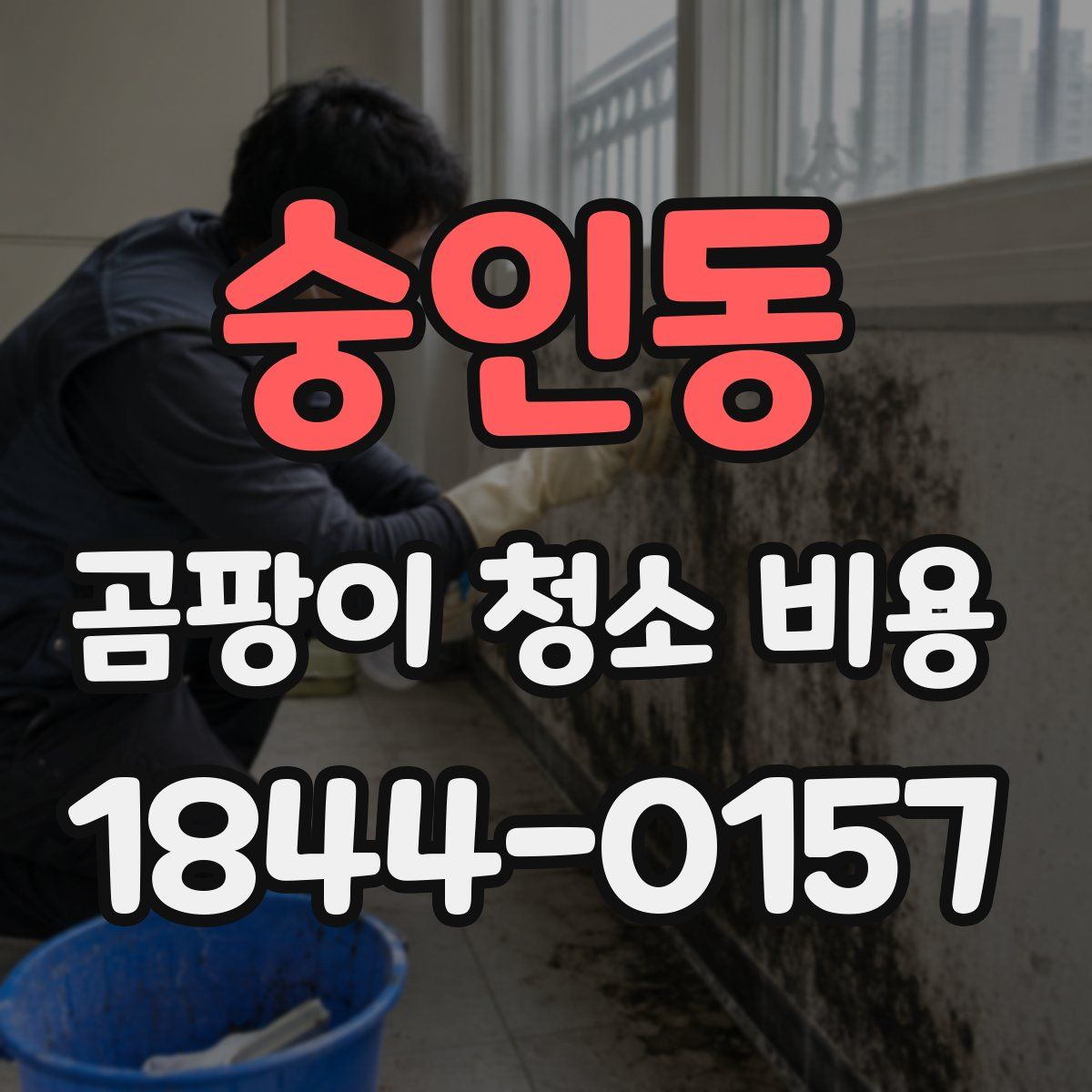숭인동 곰팡이 청소 비용