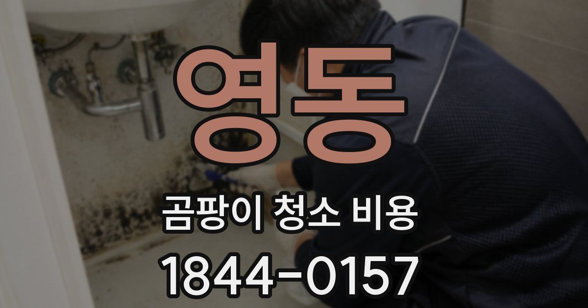 영동 곰팡이 청소 비용