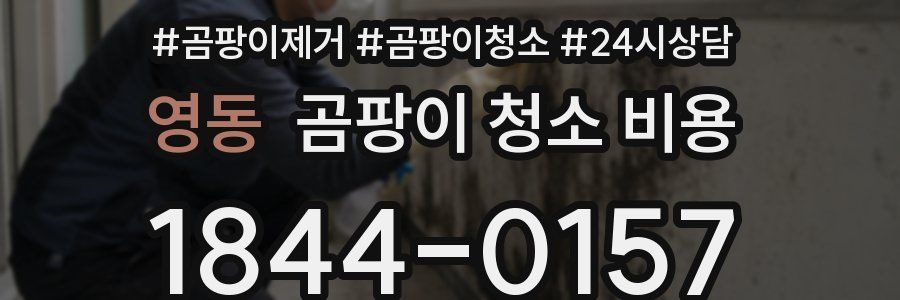 영동 곰팡이 청소 비용