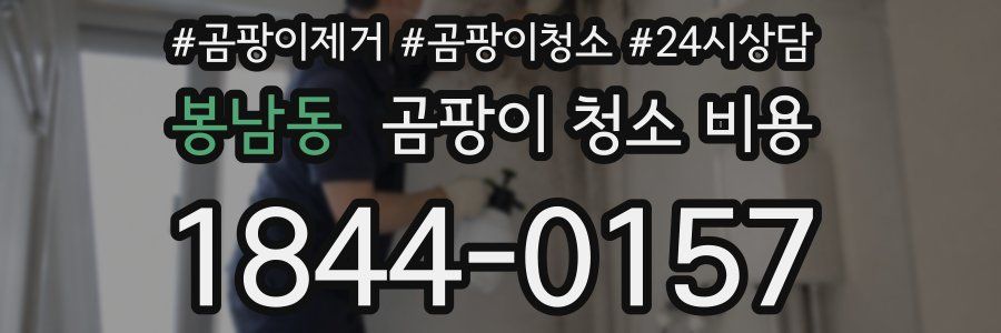 봉남동 곰팡이 청소 비용