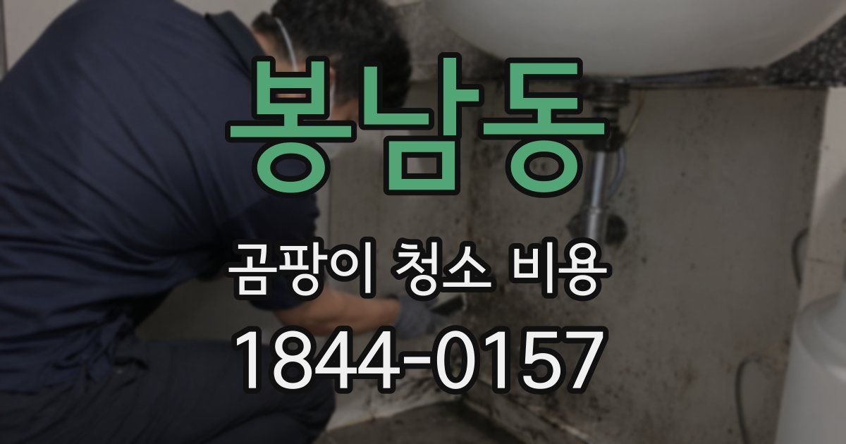 봉남동 곰팡이 청소 비용