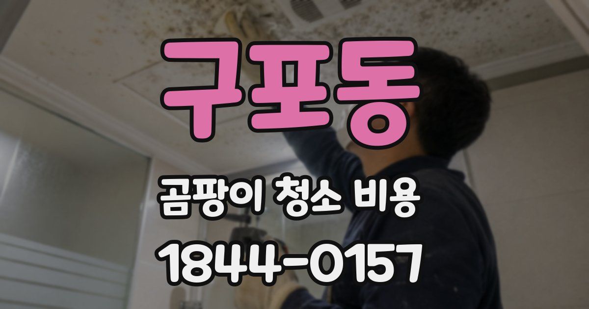 구포동 곰팡이 청소 비용