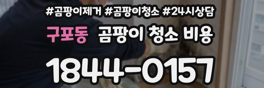 구포동 곰팡이 청소 비용