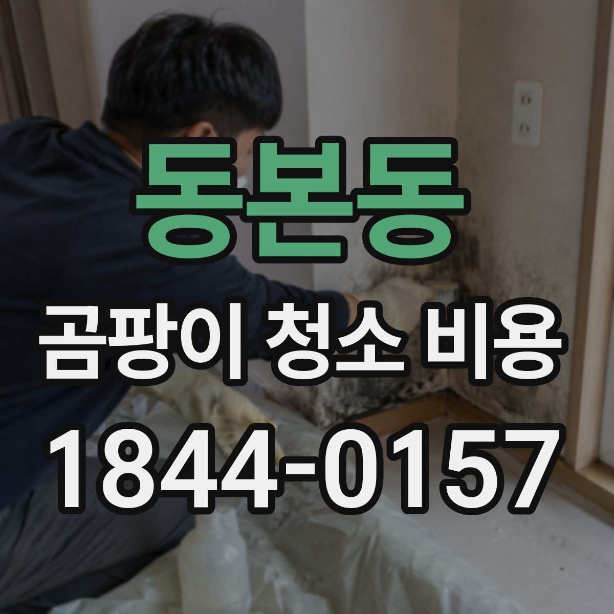 동본동 곰팡이 청소 비용 천장과 실리콘 부위 작업 난이도 차이
